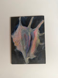 shell