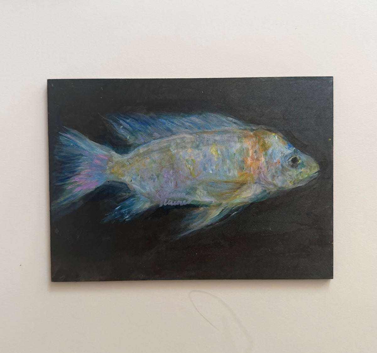 fish